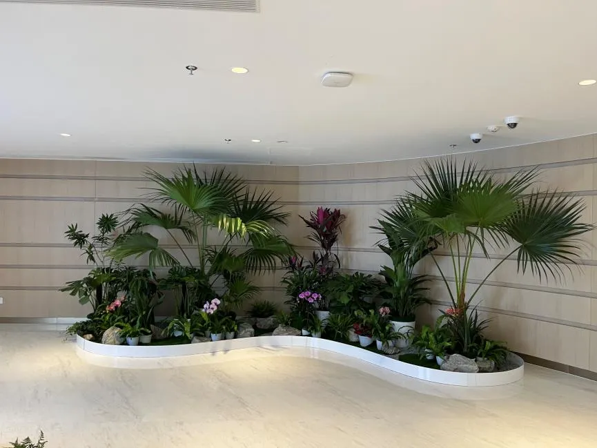 宁波镇海绿化修剪哪家出色？看这篇找答案！